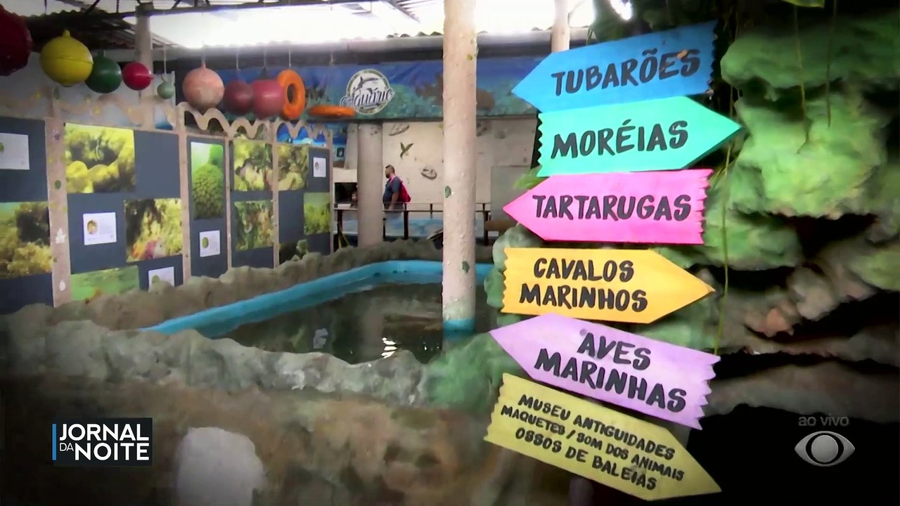 Aquário entretém e educa as crianças em João Pessoa (PB)