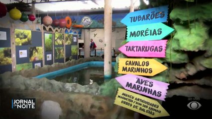 Aquário entretém e educa as crianças em João Pessoa (PB)