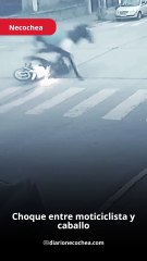Choque entre motociclista y caballo en Necochea