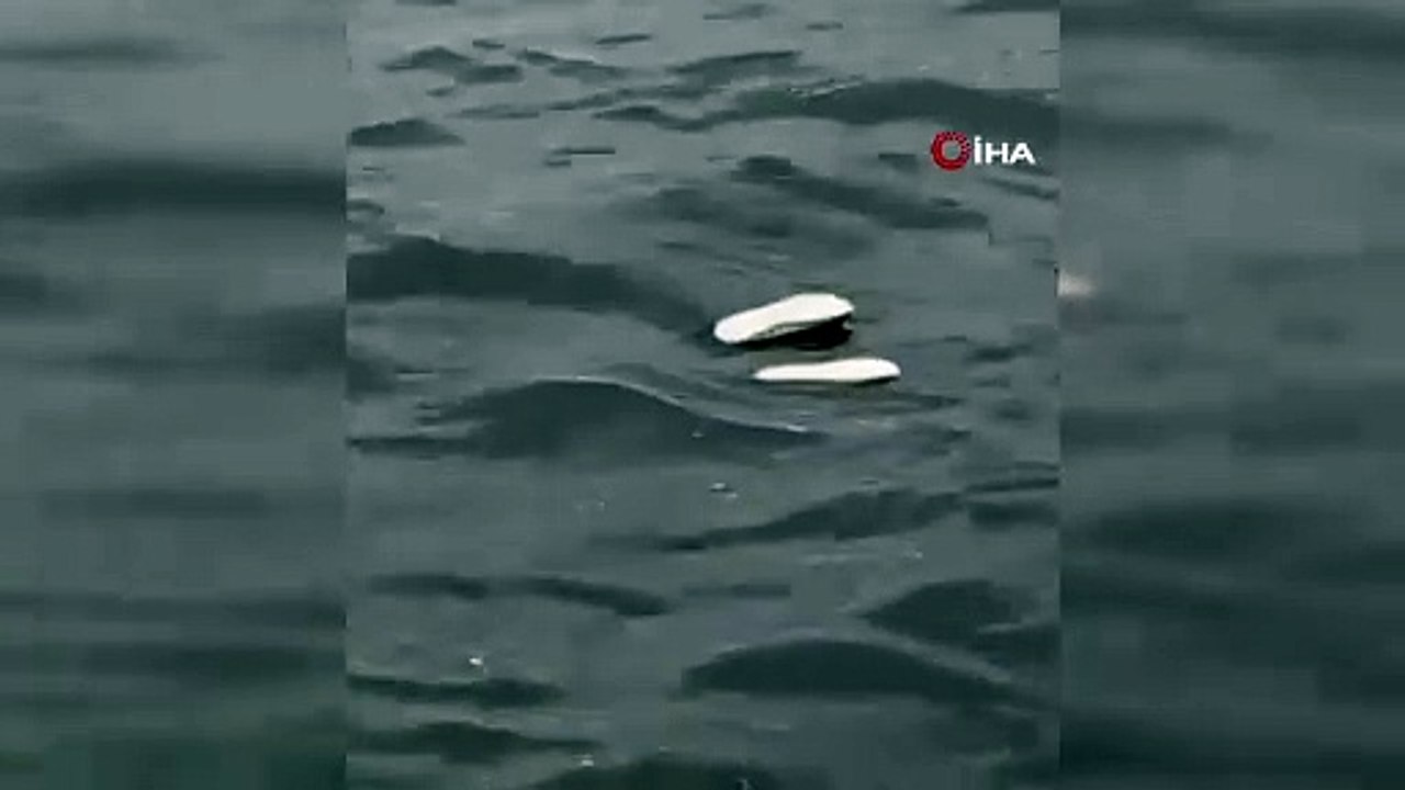 Bursa Mudanya'da kıyıya ceset vurdu