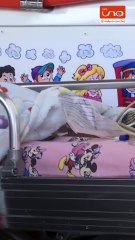 Recomendaciones Clave para Prevenir el Chikungunya