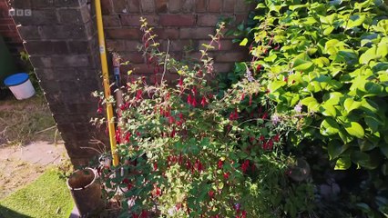 Garden Rescue 2025 episode 4 - Southampton