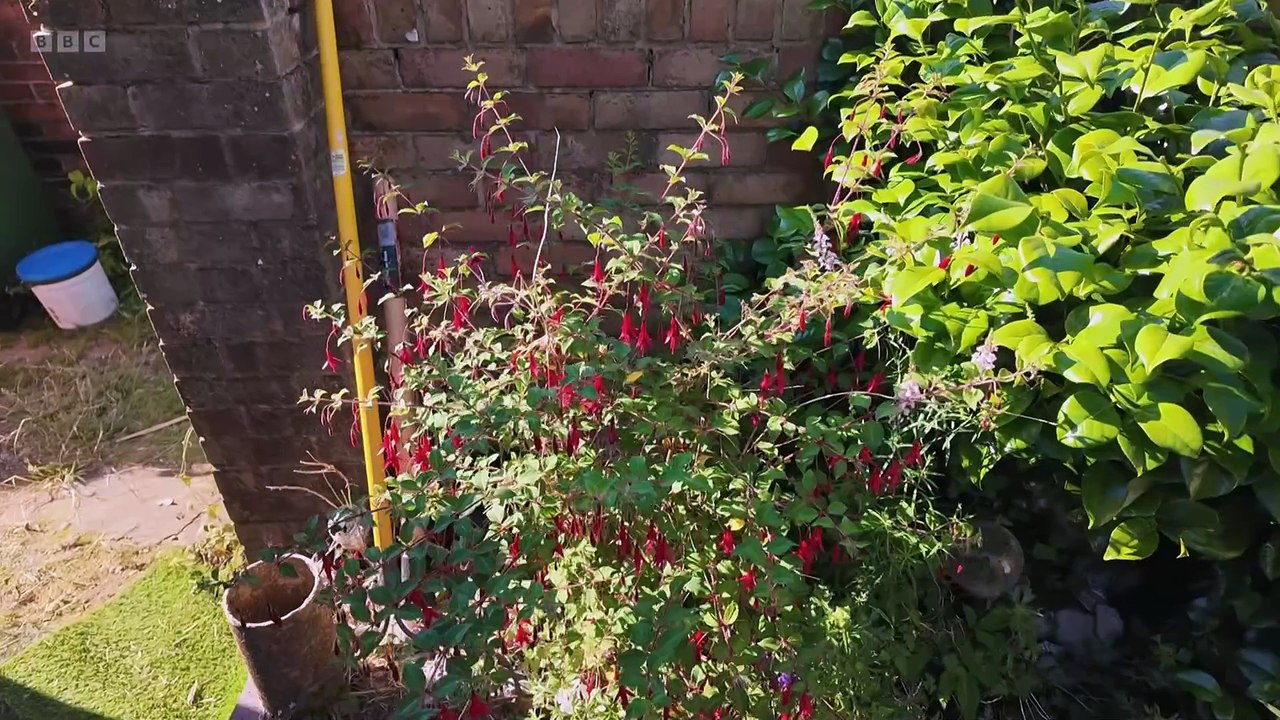 Garden Rescue 2025 episode 4 - Southampton