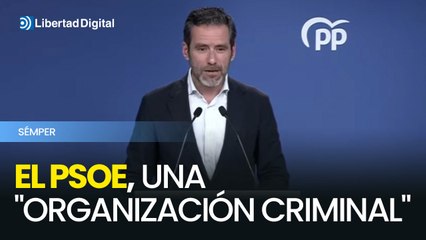Sémper acusa al PSOE de actuar como una "organización criminal"