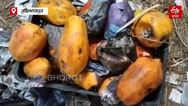 ਫੂਡ ਸੇਫ਼ਟੀ ਵਿਭਾਗ ਨੇ ਸਬਜ਼ੀ ਮੰਡੀ ਦੇ ਗੁਦਾਮਾਂ ਵਿੱਚ ਮਾਰਿਆ ਛਾਪਾ, ਵਾਪਰੀਆਂ ਖਿਲਾਫ ਲਿਆ ਸਖ਼ਤ ਐਕਸ਼ਨ