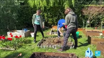 Vegetable Garden World Cup: 'We all need to reconnect with nature and our health'