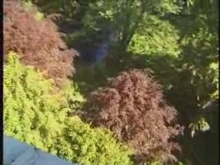 Stawowie - Wizyta w pałacu