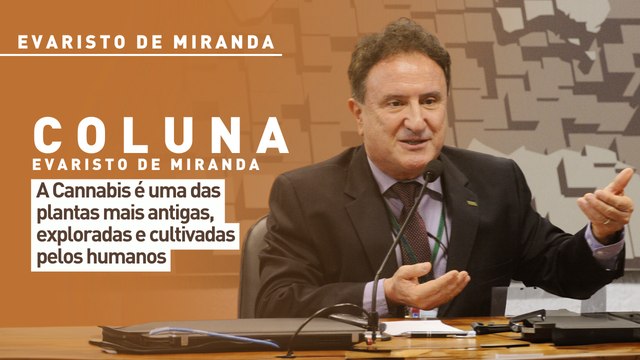 A Cannabis é uma das plantas mais antigas, exploradas e cultivadas pelos humanos