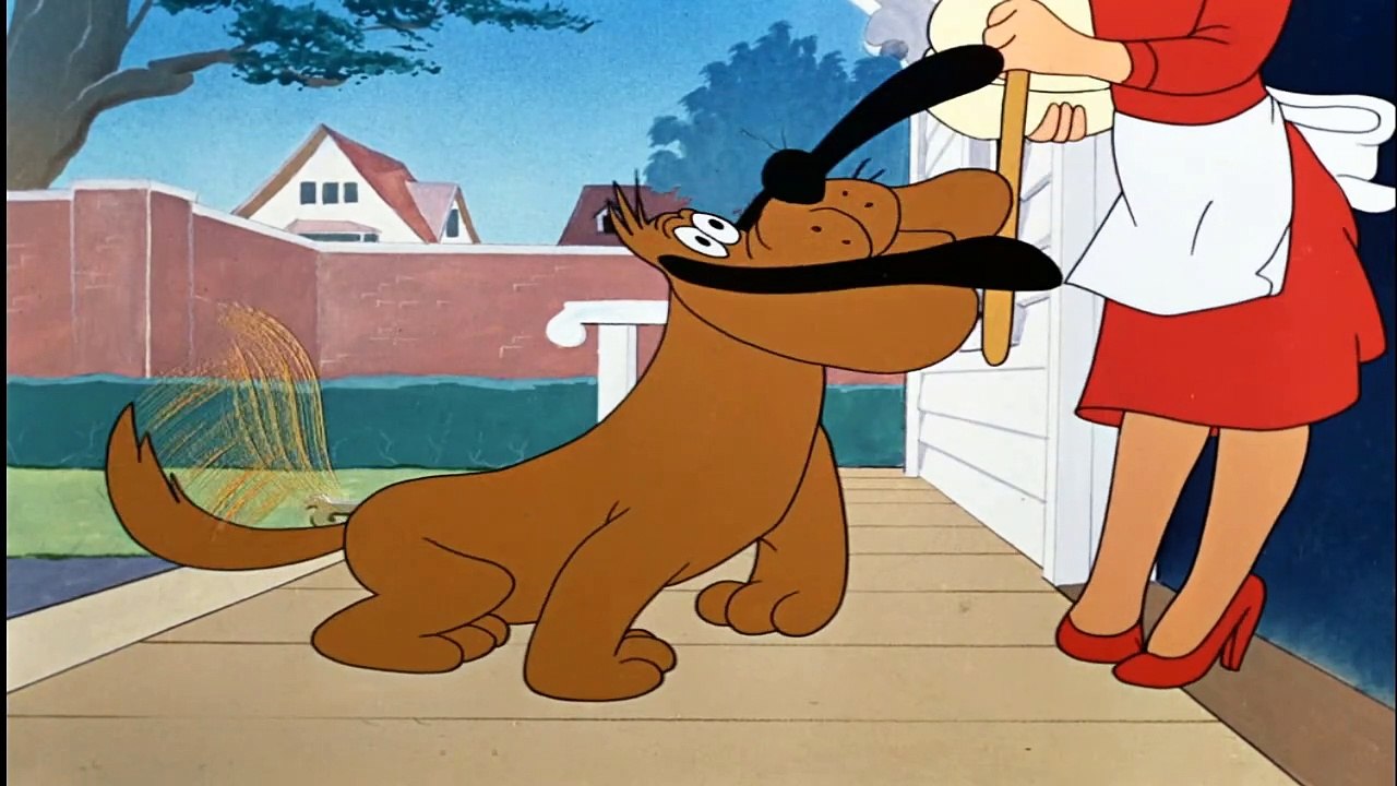 Looney Tunes Cartoons E18 - Doggone Cats | A Loyal Pup, Two Sneaky Cats & One Crazy Delivery!