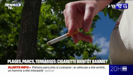 Plages, parcs, terrasses... la cigarette bientôt bannie de l'espace public?