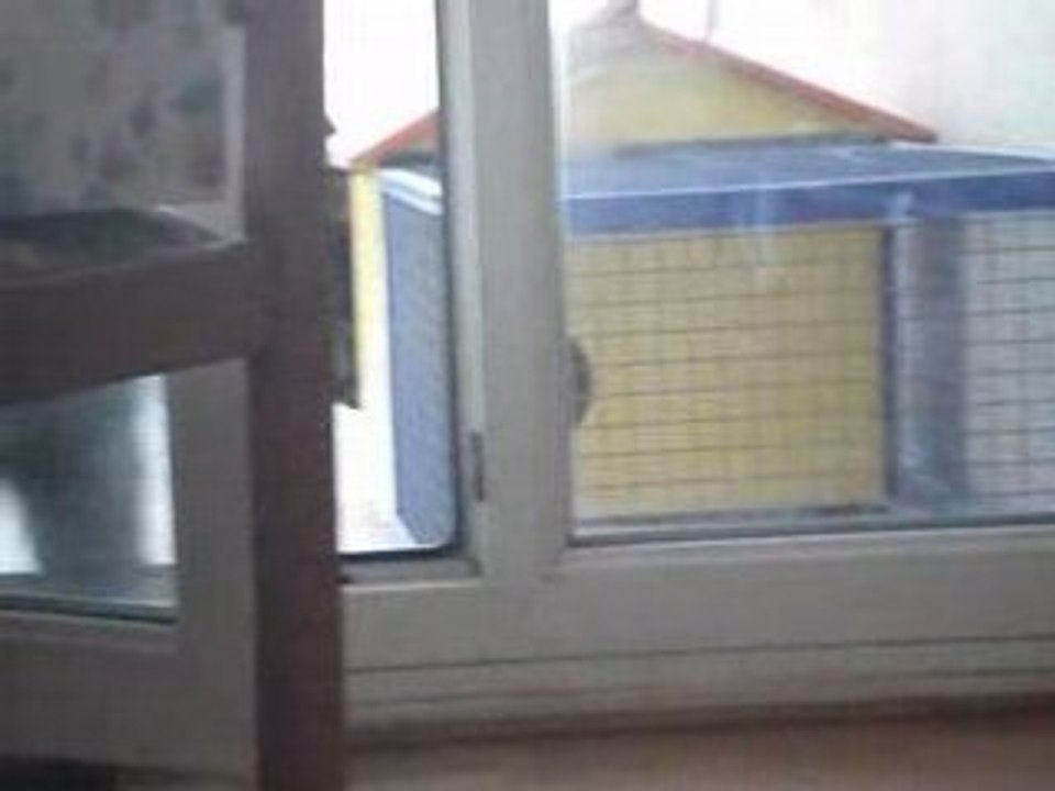 MOV00180