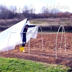 The ultimate guide to DIY greenhouses