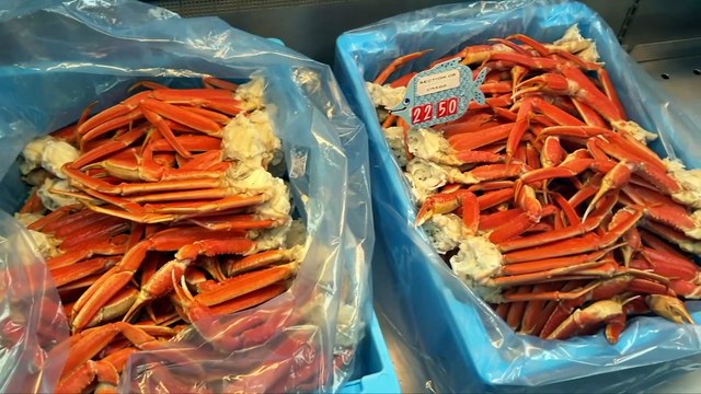 Pêches commerciales: de bonnes nouvelles pour plusieurs espèces