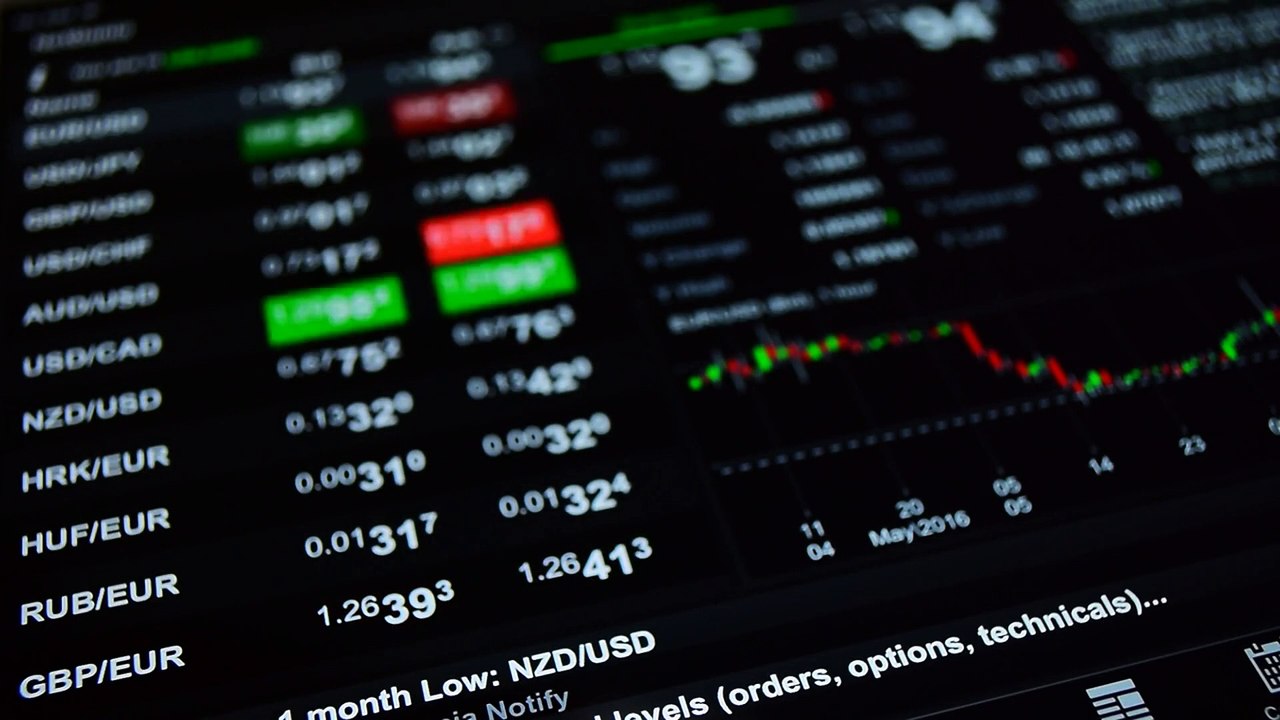 How Turf Capital Helped Me Understand Forex Basics