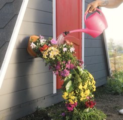 CRÉATIF BRICOLAGE pour ajouter du charme et de la couleur à votre jardin