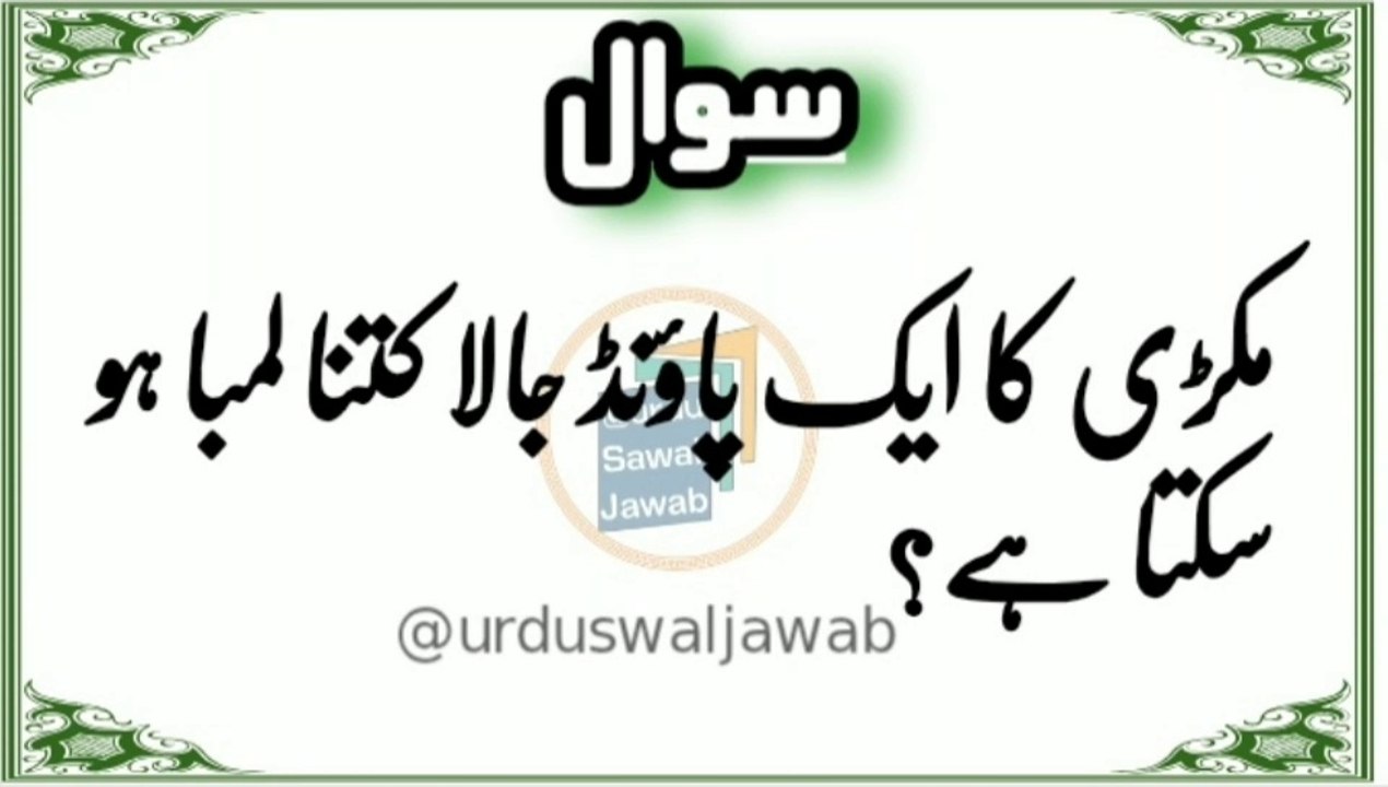 Islamic Urdu information. Islamic Urdu information/IslamicSawal jawab /Question answer /Quiz Questions /Urdu Quiz /