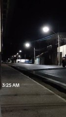 La llorona - The Llorona