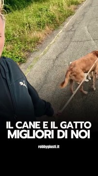 Robby Giusti - Il mio cane e il mio gatto passeggiano insieme (26.05.25)