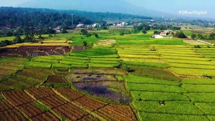 Água oxigenada é base de nova tecnologia da USP para purificar água