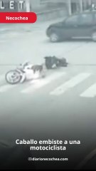 Caballo embiste a una motociclista en Necochea