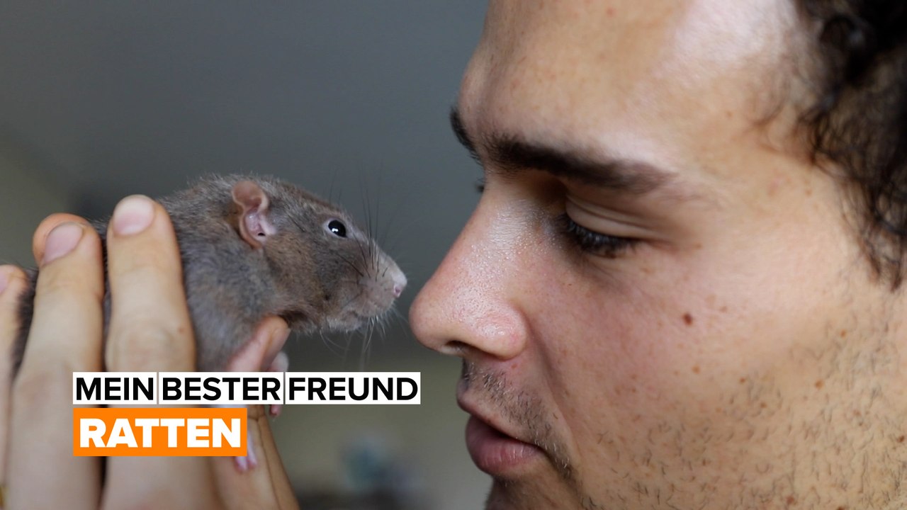 Mein bester Freund: Ratten