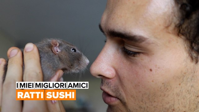 I miei migliori amici: Ratti sushi