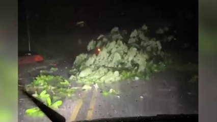 tn7-Tormenta eléctrica, caída de árboles y deslizamientos se reportan en Corredores y Golfito-260525