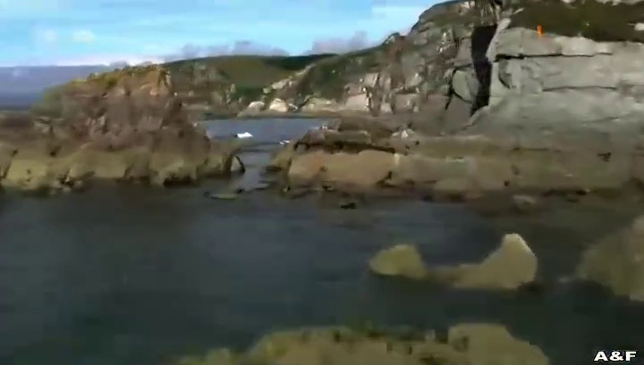 Rosamunde Pilcher -119- Alte Herzen rosten nicht