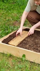 4 Cheap and Effective DIY gadgets for your garden! 🌳