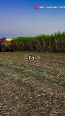 #SlaveryAbolitionDay #GuadeloupeHistory #May27 #NeverForget #FreedomFighters #ColonialHistory #BlackHistory #Abolition1848 #GuadeloupeCulture #RememberThePast #HistoryMatters #EndSlavery #CaribbeanHeritage #LegacyOfFreedom #ResistanceAndResilience