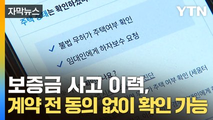 [자막뉴스] 오늘부터 시행...'보증사고 이력' 동의 없이 확인 가능 / YTN