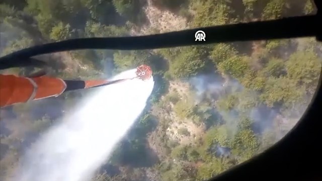 Aydın’da orman yangını, 2 hektar kül oldu