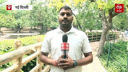 Delhi Zoo: नर और मादा के बीच बनाई 'दीवार', खत्म हो गया नर हिरणों के बीच खूनी संघर्ष