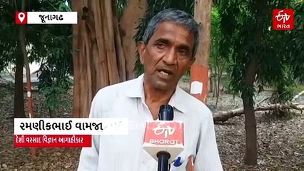 રમણીકભાઈ વામજાની આગાહી: 29 મેથી 2 જૂન સુધી કરા સાથે વરસાદ અને આકરી ગરમી પડશે