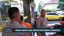 Hendak Kabur ke Jawa, Pencuri Motor Dibekuk di Bakauheni