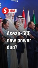 Asean and GCC can be anchors of stability and engines for growth, says PM