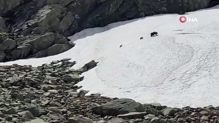 Uludağ’da dağcılar görüntüledi! O anlar kamerada