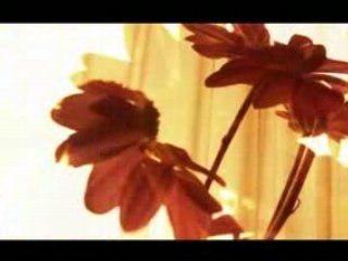 video arte experimental