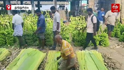 தொடர் மழை, முகூர்த்த சீஸன் காரணமாக வாழை இலை விலை உயர்வு!