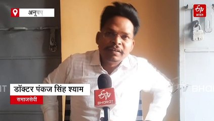 अनूपपुर में अंतिम संस्कार से पहले अनोखा रिवाज, आदिवासी ऐसे करते हैं लकड़ी का इंतजाम