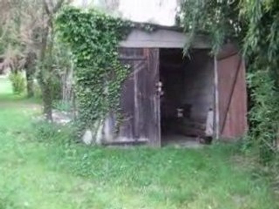 MVI_0395