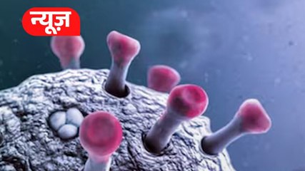 US में New Variant, India में केस बढ़े