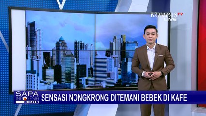 Unik! Kafe di Malang Beri Sensasi Pengunjung Bisa Bersantai Ditemani Bebek