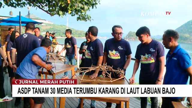 PT ASDP Tanam 30 Media Terumbu Karang di Laut Labuan Bajo, Perkuat Ekosistem Laut