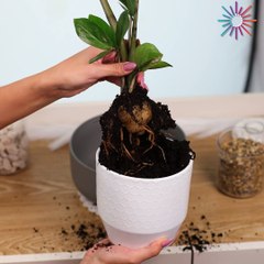 From a boring flower pot to a fancy one! 😍