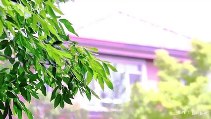 【TOP登陆少年】0524启D会