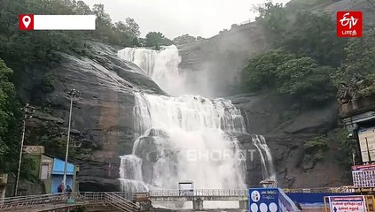 குற்றால அருவிகளில் கடும் வெள்ளப்பெருக்கு: 3-வது நாளாக சுற்றுலா பயணிகள் குளிக்கத் தடை!