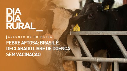 Febre aftosa: Brasil é declarado livre de doença sem vacinação