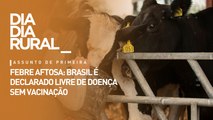 Febre aftosa: Brasil é declarado livre de doença sem vacinação