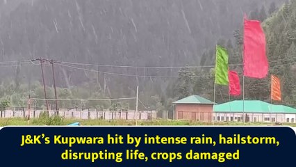 &K’s Kupwara hit by intense rain, hailstorm, disrupting life, crops damaged